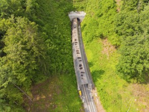 A train runs through a tunnel surrounded by dense forest, construction of the Hermann Hesse