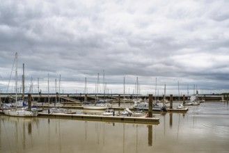 Pauillac, Gironde Estuary, Bordeaux, Gironde, Nouvelle-Aquitaine, France