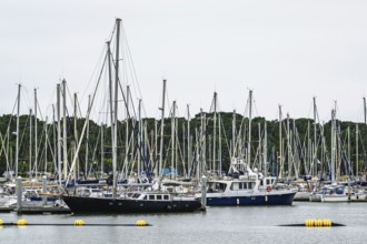 Marina in Le Verdon-sur-Mer, Nouvelle-Aquitaine, Gironde, France