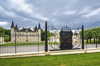 Vineyard of Chateau Pichon Longueville Baron Vineyard and grape fields around Pauillac, Bordeaux,