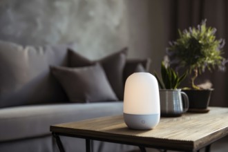 Air purifier and humidifier in a living room. Clean air and healthy environment with clean air. Air