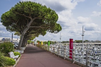 Royan, Nouvelle-Aquitaine, Charente-Maritime, France