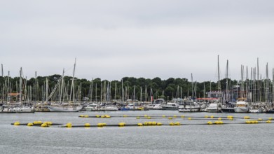 Marina in Le Verdon-sur-Mer, Nouvelle-Aquitaine, Gironde, France