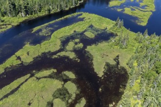 Lake and islands with vegetation, Boreal forest, Mastigouche wildlife reserve, Region of La