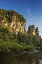 Jungle and rainforest with steep mountains, Khao Sok National Park, Phang Nga, Surat Thani,