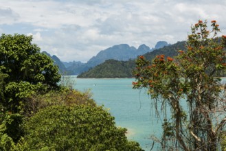 Lake with jungle and rainforest and steep mountains, Cheow Lan Lake, Khao Sok National Park, Phang
