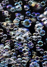 Many, small iridescent and floating soap bubbles against a black background, Recklinghausen, North