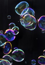 Iridescent soap bubbles in the colours of the rainbow against a black background, Recklinghausen,