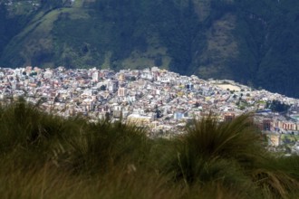 City of Quito, View from the Cruz Loma cable car station. Pichincha province, Ecuador, South