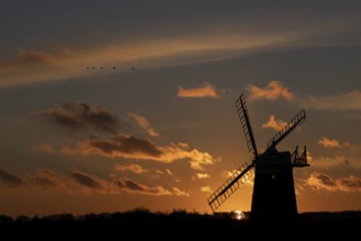 Windmill silhouette at sunset with a red sky and a skein or flock of Pink-footed geese (Anser
