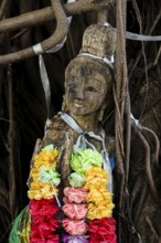 Bodhi tree, Ficus religiosa, wooden figure, Koh Phi Phi, Krabi, Andaman Sea, Thailand