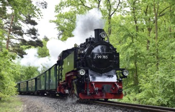 The Raging Roland, narrow-gauge railway, on Rügen, Mecklenburg-Vorpommern, Germany