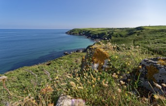 Landscape on the south-east coast near the southern tip of Cornwall on the English Channel.