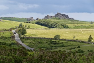 The Hound Tor rocks at Widecombe-in-the-Moor in Dartmoor National Park. Bovey Tracey, Devon, South