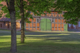 View through a chestnut tree onto a farm, Böhme, Heidekreis, Rethem Aller, Leine Aller Tal, Lower