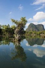 Lagoon, Klong Rud, Klong Nam Sai, Ao Nang, Krabi, Thailand