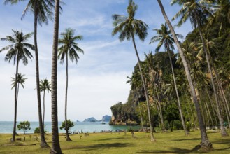 Tonsai Beach, Ton Sai Bay, Ao Nang, Krabi, Thailand