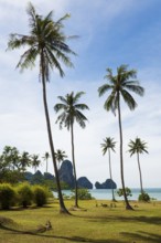 Tonsai Beach, Ton Sai Bay, Ao Nang, Krabi, Thailand