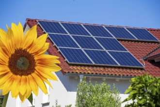 (Photomontage) Solar roof on a detached house with sunflower in the foreground