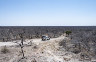 Off-road vehicle between dry bushes on a sandy track, Makgadikgadi salt pans, Botswana