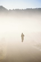 Man running on a dirt road in morning fog in the countryside with the sun shining through the fog