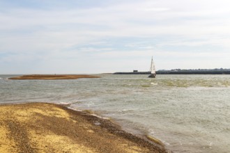 Sailing boat yacht at mouth of River Deben estuary, Bawdsey Quay, Suffolk, England, UK
