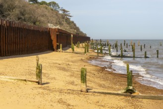 Steel sheet piling sea wall old broken wooden groynes coastal defences, Bawdsey, Suffolk, England,