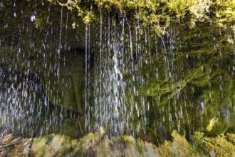 Dietfurt Waterfall, a moss waterfall in the Wutach Gorge, Black Forest, Baden-Württemberg, Germany