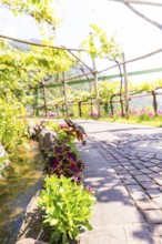 Stone path in a sunny garden with lush greenery and flowers, Botanical Garden, The Gardens of