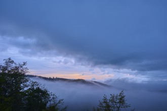 Landscape with rolling hills and trees in the mist as the sun rises, summer, Rhine bend Boppard,