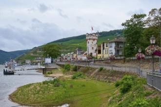 Riverside view with buildings, an eagle tower and green hills in the background, Rüdesheim am