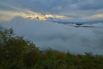 Foggy landscape with clouds and trees under a colourful morning sky, summer, Rhine bend Boppard,
