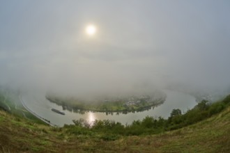 A foggy river is illuminated by the sun penetrating through the morning mist, summer, Rhine bend