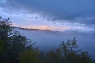 Trees and hills emerge from the mist, the sky is bathed in soft morning colours, summer, Rhine bend