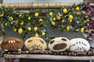 Cat cushion, arts and crafts, Veneto, Italy