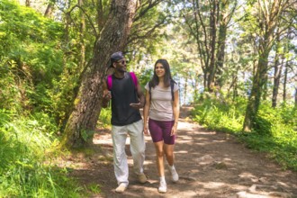 Hikers with backpacks enjoying a conversation while walking on a trail through a lush green forest