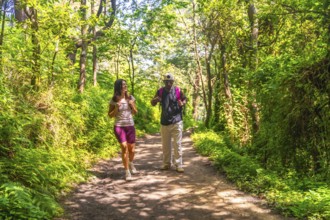 Hikers with backpacks strolling along a scenic trail, surrounded by lush green trees and vibrant