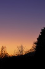 Sunset with beautiful red sky and forest silhouette, silhouette photograph, Wilnsdorf, North