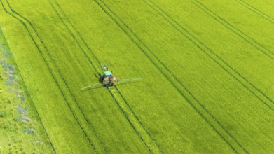 Farmer with tractor working in the field. In early summer, he fertilises the grain for an optimum