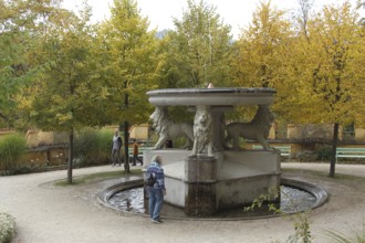 Lion fountain in the inner courtyard of Hohenschwangau Castle near Füssen, Allgäu, Bavaria,