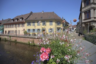 Half-timbered houses on the Alb, pedestrian bridge and flower decoration, Ettlingen, Black Forest,