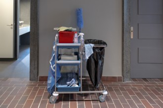 Cleaning trolley with utensils