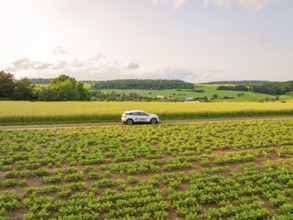 A car on a path through green fields with a wide view of the landscape, Deer E- CarSharing, Renault