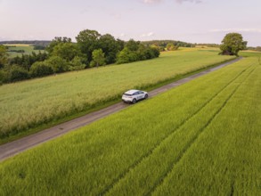 Car on a rural road between green fields and trees in the evening light, Deer E- CarSharing,