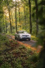 Car on illuminated forest path, sunlight through the trees, autumnal atmosphere, Deer E-