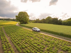 A car drives on a dirt road through an agricultural area with a cloudy sky, Deer E- CarSharing,