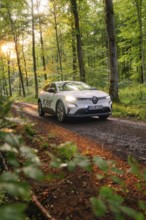 Renault driving along a forest path, surrounded by tall trees in the sunlight, Deer E- CarSharing,