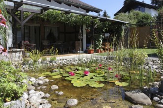 Garden pond with house terrace in midsummer, Allgäu, Bavaria, Germany, Allgäu, Bavaria, Germany