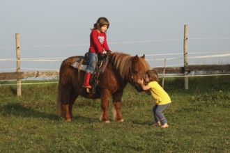 Girl, toddler gives Shetland pony a kiss, older sister sits on the pony and watches her, Allgäu,