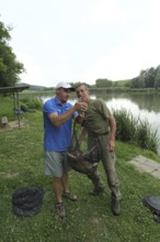 Fishermen, anglers, caught white fish (Leuciscinae) are weighed and then released, South Hungary,